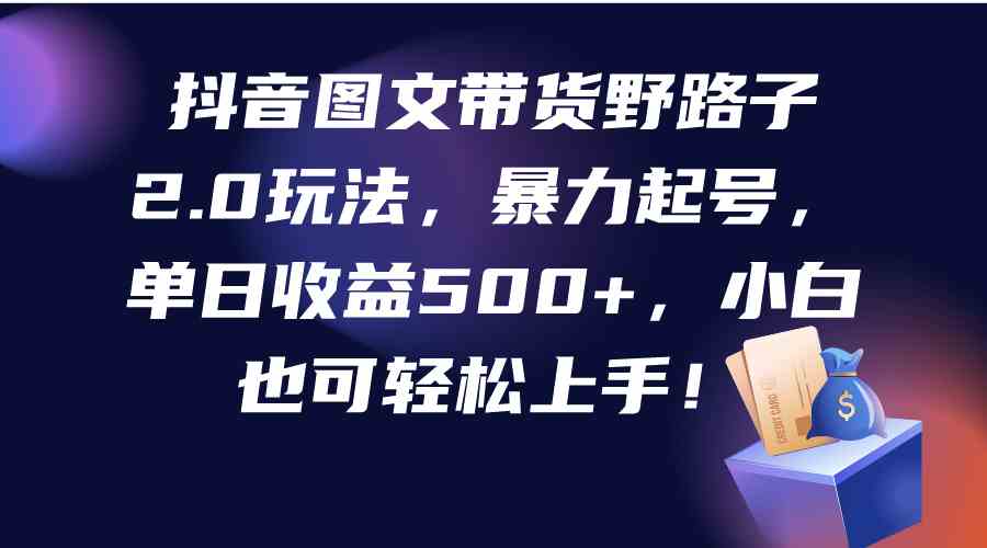 （9790期）抖音图文带货野路子2.0玩法，暴力起号，单日收益500+，小白也可轻松上手！-云速度网创