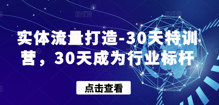 实体流量打造-30天特训营，30天成为行业标杆-云速度网创