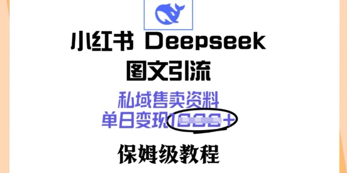 小红书Deepseek图文引流，私域售卖资料，单日变现多张，保姆级教程-云速度网创