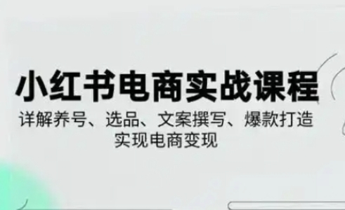 小红书从0-1实操课(2023-2025)，详解养号、选品、文案撰写、爆款打造实现电商变现-云速度网创