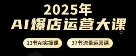 2025年AI爆店运营大课，13节AI实操课+37节流量运营课-云速度网创