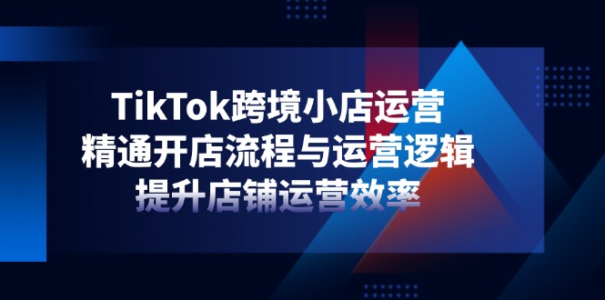 （14369期）TikTok跨境小店运营，精通开店流程与运营逻辑，提升店铺运营效率-云速度网创