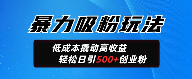 暴力吸粉玩法，日引500+精准创业粉，日变现轻松多张-云速度网创