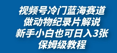 视频号冷门蓝海赛道，做动物纪录片解说，新手小白也日入3张，保姆级教程-云速度网创