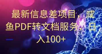 最新信息差项目，咸鱼PDF转文档服务，日入100+-云速度网创
