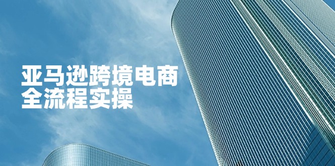 （14252期）亚马逊跨境电商全流程实操，教你从零开始，掌握店铺运营与广告技巧-云速度网创