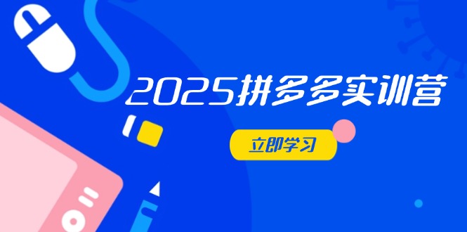 （14531期）2025拼多多实训营：深度剖析运营关键，助力电商人快速提升-云速度网创