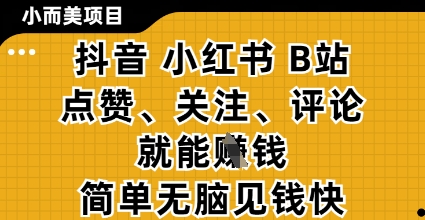 小而美的项目，抖音小红书B站视频点赞、关注、评论就能挣钱，简单无脑立见收益，妥妥的零撸项目【揭秘】-云速度网创