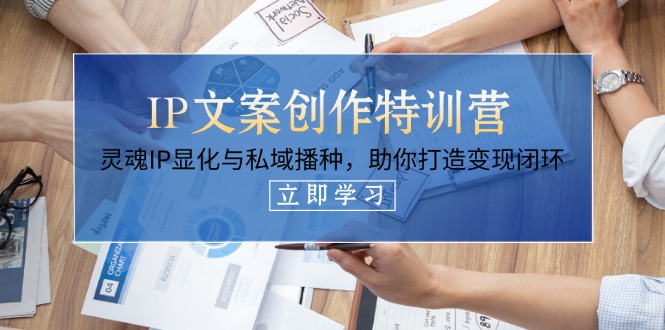 （14330期）IP文案创作特训营，灵魂IP显化与私域播种，助你打造变现闭环（14节课）-云速度网创