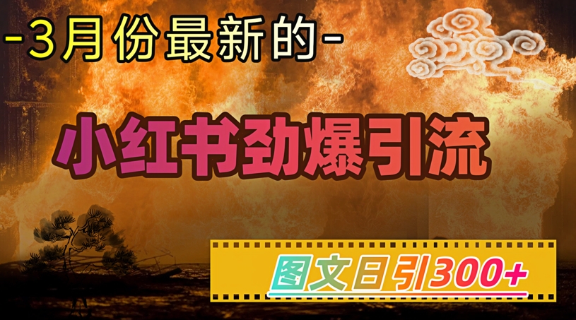 小红书超劲爆引流手段，图文日引300+轻松变现1W-云速度网创