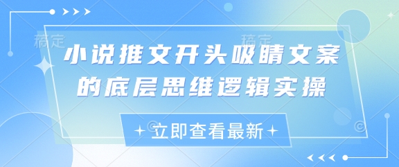小说推文开头吸睛文案的底层思维逻辑实操-云速度网创