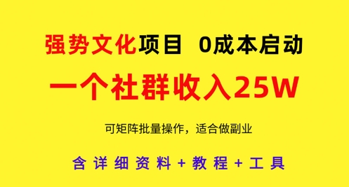 强势文化项目，一个社群收入25个W，0成本启动，可矩阵批量操作，原创详细实操教程-云速度网创