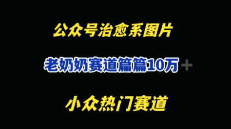 公众号老奶奶治愈系流量主，篇篇10W+-云速度网创