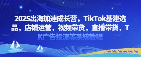 2025出海加速成长营，TikTok基建选品，店铺运营，视频带货，直播带货，TK广告投流等系统教程-云速度网创