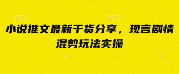 小说推文最新干货分享，现言剧情混剪玩法实操-云速度网创