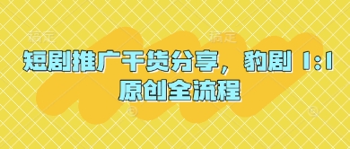 短剧推广干货分享，豹剧 1:1原创全流程-云速度网创
