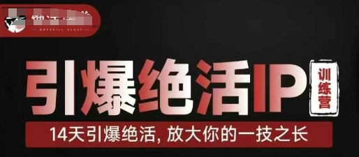引爆绝活IP训练营，14天引爆绝活，放大你的一技之长-云速度网创