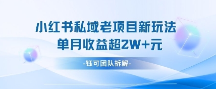 小红书私域项目新玩法，单月变现过W+-云速度网创
