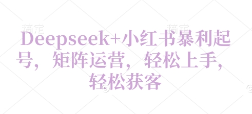 Deepseek+小红书暴利起号，矩阵运营，轻松上手，轻松获客-云速度网创