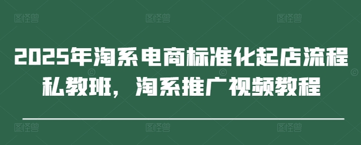 2025年淘系电商标准化起店流程私教班，淘系推广视频教程-云速度网创