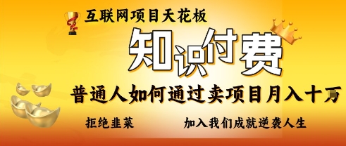 互联网项目天花板，知付付费项目，普通人如何通过卖项目月入十个，拒绝韭菜【揭秘】-云速度网创
