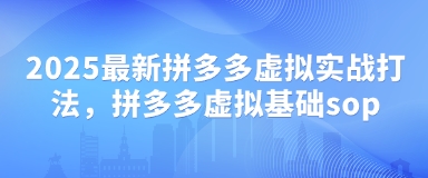 2025最新拼多多虚拟实战打法，拼多多虚拟基础sop-云速度网创