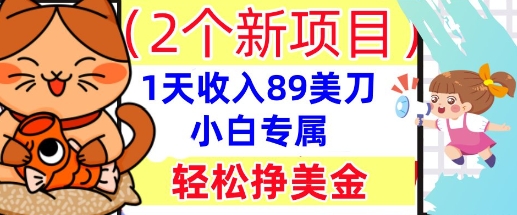 2个新项目，轻松挣美金， 1天收入89美刀，小白专属，干货分享-云速度网创