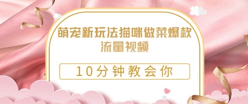萌宠新玩法猫咪做菜爆款流量视频，10分钟教会你-云速度网创