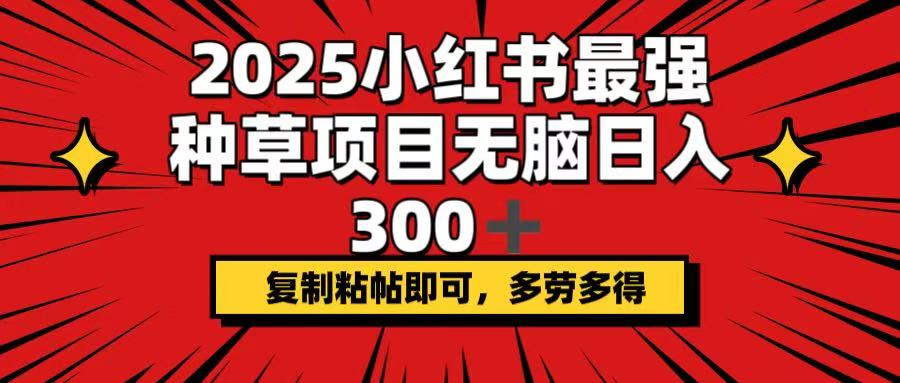 （14375期）2025小红书最强种草项目，无脑日入300+，复制粘帖即可，多劳多得-云速度网创