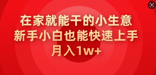 在家就能干的小生意，新手小白也能快速上手，月入1w-云速度网创