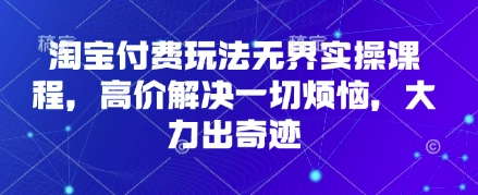 淘宝付费玩法无界实操课程，高价解决一切烦恼，大力出奇迹-云速度网创