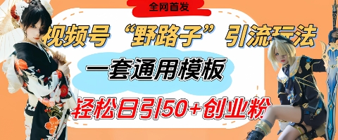 视频号“野路子”玩法，评论区疯狂截流，一套模板单日单号引流50+创业粉-云速度网创