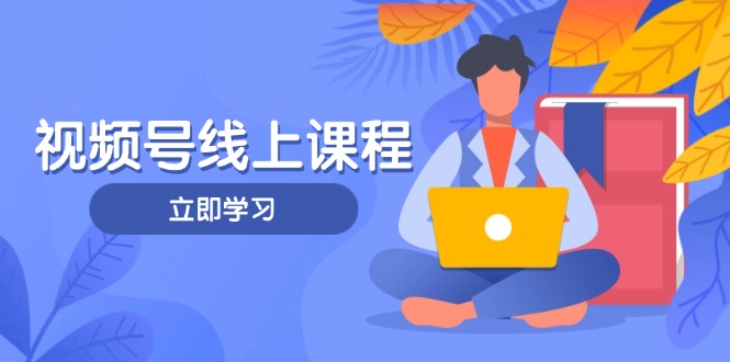 （14360期）视频号实战课程，轻IP打造与运营技巧，掌握核心方法与策略-云速度网创