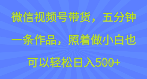 微信视频号带货，五分钟一条作品，照着做小白也可以轻松日入5张-云速度网创