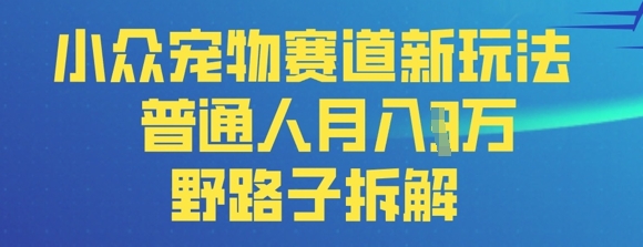 小众宠物赛道新玩法，普通人月入过1W的野路子拆解-云速度网创