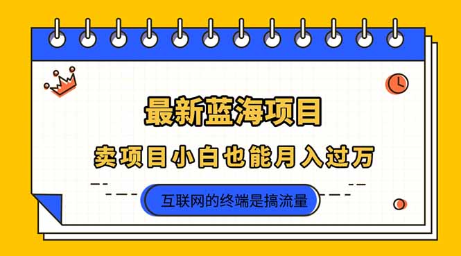 （14289期）2025年最新蓝海项目，卖项目小白也能月入过万-云速度网创