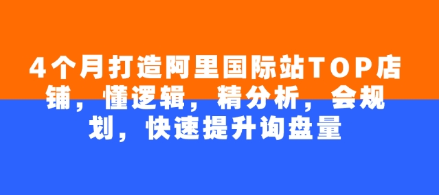 4个月打造阿里国际站TOP店铺，懂逻辑，精分析，会规划，快速提升询盘量-云速度网创