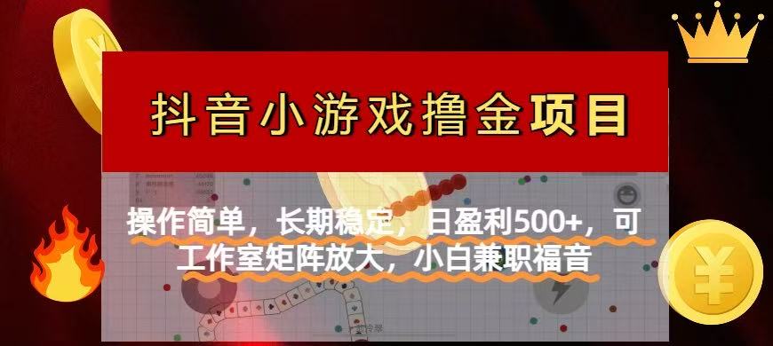 （14290期）【抖音小游戏发行人计划项目】操作简单，长期稳定，日盈利500+，可工作…-云速度网创