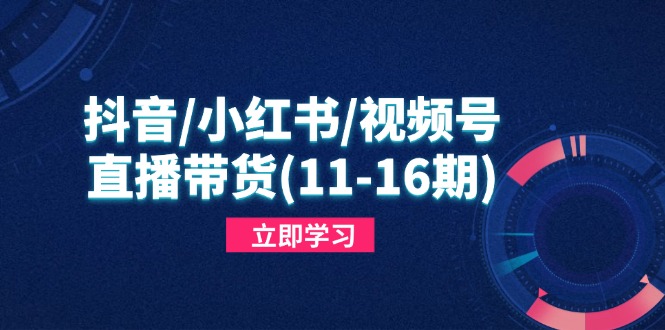 （14611期）抖音/小红书/视频号/直播带货(11-16期)，快速掌握平台规则，打造爆款内容-云速度网创