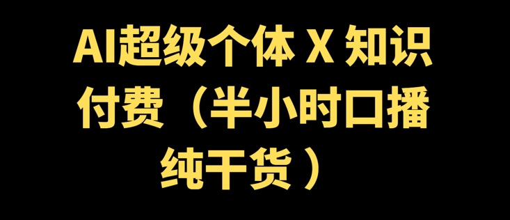 AI超级个体 + 知识付费(半小时口播纯干货 )-云速度网创