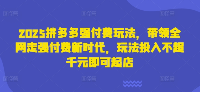 2025拼多多强付费玩法，带领全网走强付费新时代，玩法投入不超千元即可起店-云速度网创