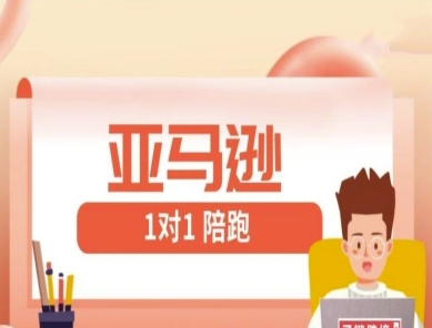 亚马逊1对1陪跑课(FBA/FBM精铺)跨境亚马逊教程-云速度网创