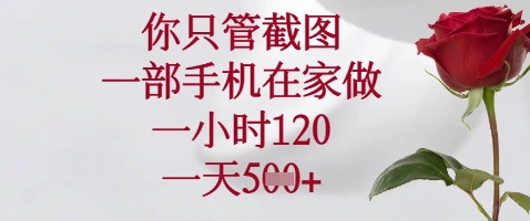 你只管截图，一部手机在家做，苹果安卓都可以，一小时120，一天5张+【揭秘】-云速度网创