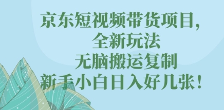 京东短视频带货项目，全新玩法，无脑搬运复制，新手小白日入好几张!-云速度网创