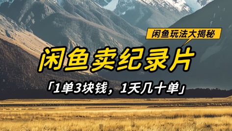 闲鱼卖纪录片1单3块钱，1天几十单，项目稳定有潜力-云速度网创