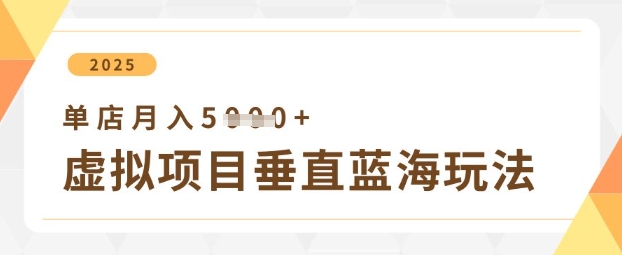 虚拟项目垂直玩法，实现单店月入5k+-云速度网创