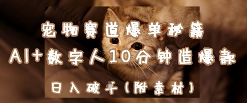 宠物赛道爆单秘籍：AI+数字人10分钟造爆款，日入1k-云速度网创
