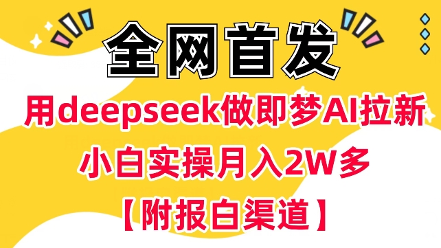 用deepseek做即梦Ai拉新 小白实操月入过W+【附报白渠道】-云速度网创