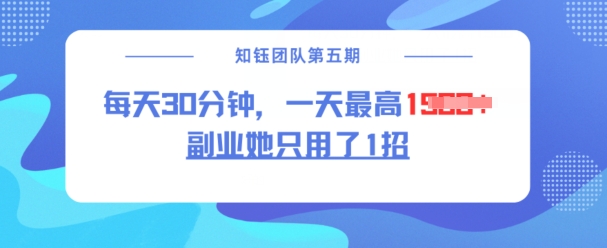 副业她只用了1招，每天30分钟，无脑二创，一天最高1.5k-云速度网创
