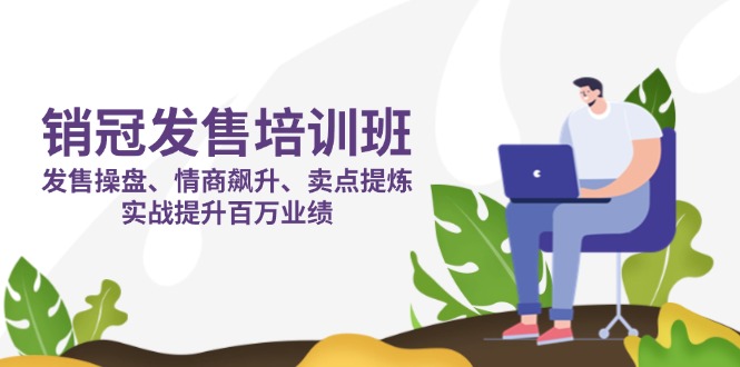 （14203期）销冠 发售培训班：发售 操盘+情商 飙升+卖点 提炼，实战提升百万业绩-云速度网创